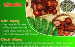 Tác dụng của táo mèo với con nười