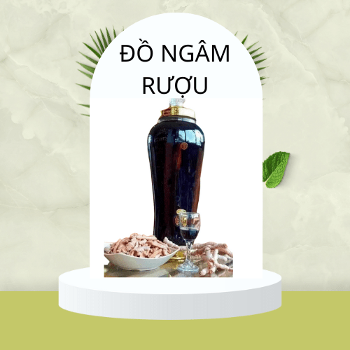 ĐỒ NGÂM RƯỢU